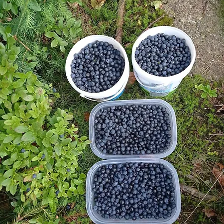 U Evy Smržovka